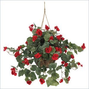 Begonia Hanging Basket in Red
