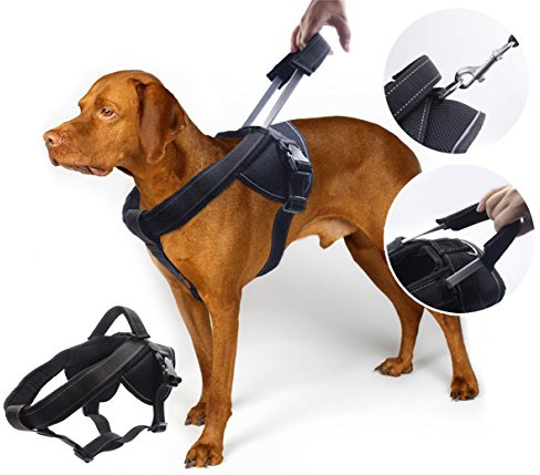 Heavy Duty Dog Harness for Medium and Large Dogs, No Pull Dog Vest Harness with Handle Extensible, Reflective Stitching (L)