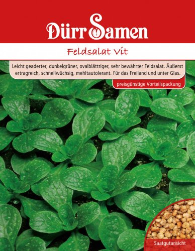 Dürr-Samen - Feldsalat Vit 250 g Saatgut