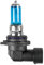 Pilot LA_58282 Halogenlampe, 'blau-Xe' HB4/ 9006, 55W,12V, mit sehr heller Leuchtkraft