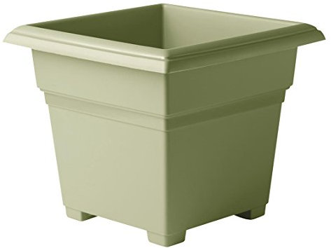 Novelty 26140 Pot de Fleurs carré Sauge 35,6 cm