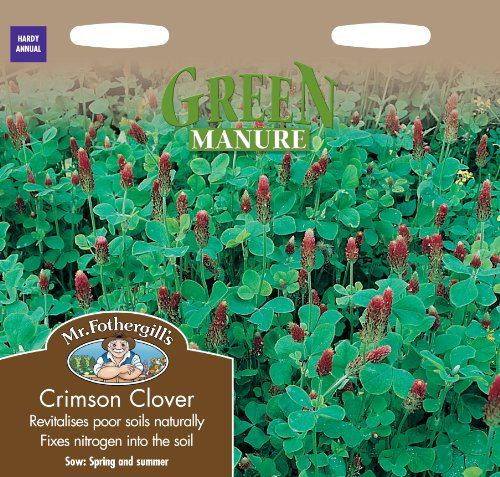 Mr Fothergill's 24364 Vegetable Seeds, Green Manure Crimson Clover