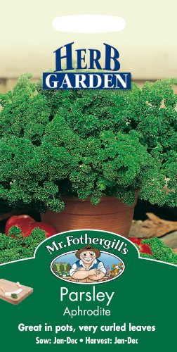 Mr Fothergill's 18518 Herb Seeds, Parsley Afrodite