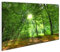 islandburner Bild Bilder auf Leinwand Wald Sonne V2 1p XXL Poster Leinwandbild Wandbild Dekoartikel Wohnzimmer Marke
