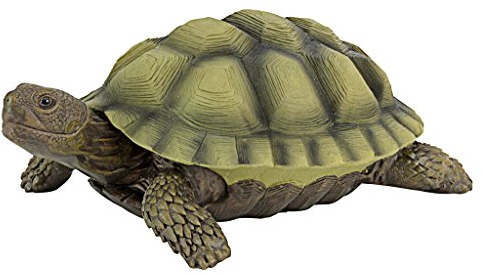 Design Toscano Gilbert la Tortue-Boîte Statue d'Animal de Décoration de Jardin, 22.75 cm, polyrésine, palette complète de couleur