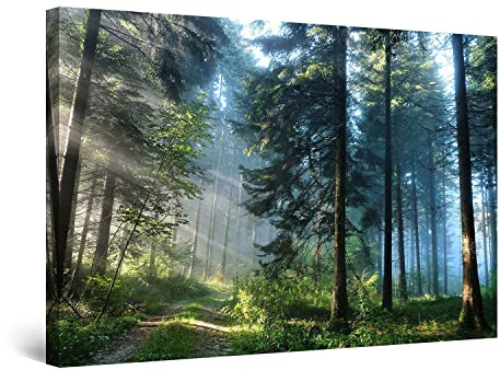 Startonight Quadro su Tela Strada nella Foresta, Grandi Quadri Alberi Moderni Stampe Grande per Soggiorno Stampe Incorniciate 80x120 cm, Decorazione Parete, Idea Regalo Elegante Luminoso al Buio