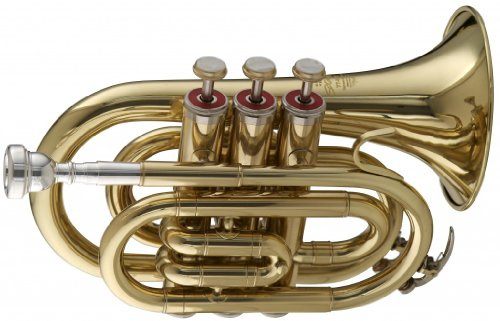 Stagg WS - TR245 Bb Pocket Trumpet with Case 6.00 x 3.00 x 8.00 inches