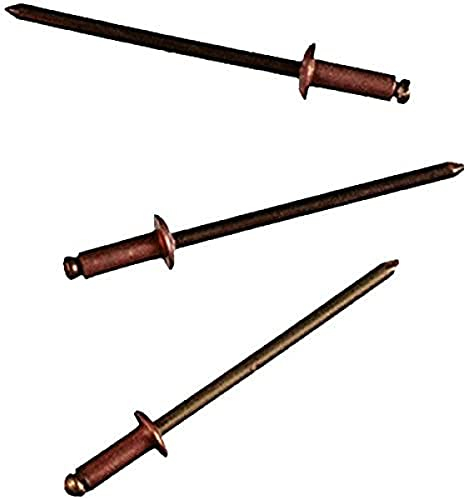 Connex COXT197310 Remaches ciegos de cobre/bronce, marrón/oro, 3,2 x 10 mm, juego de 50 piezas