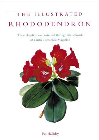 Illustrated Rhododendron: Their Classification Portrayed Through the Artwork of Curtis's Botanical Magazine