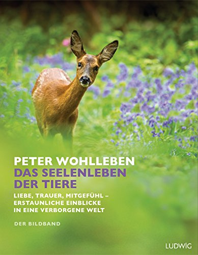 Das Seelenleben der Tiere. Der Bildband: Liebe, Trauer, Mitgefühl - erstaunliche Einblicke in eine verborgene Welt. Mit dem vollständigen Text der Originalausgabe