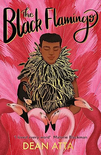 The Black Flamingo: The much loved, award-winning, queer coming-of-age story