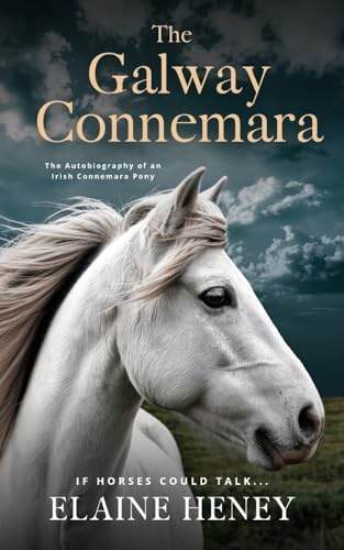 The Galway Connemara | The Autobiography of an Irish Connemara Pony. If horses could talk...