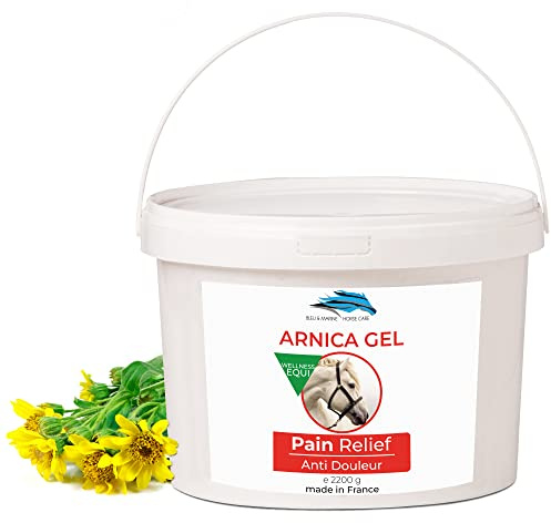 Arnica Gel FORTE & Concentrato 90% di Estratto di Arnica BIO da Agricoltura Biologica. Gel Massaggi Muscolari e Articolari. Idratante per la Pelle - 2200 g 2.2 kg