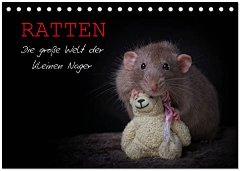 Ratten. Die große Welt der kleinen Nager (Tischkalender 2026 DIN A5 quer), CALVENDO Monatskalender: Ein außergewöhnlicher Tierkalender, der die ... niedlichsten Form zeigt. (CALVENDO Tiere)