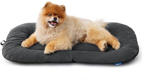 BEDSURE waschbar Hundekissen für kleine Hunde - dünne Hundebette kleine Hunde, weiche und Bequeme Hundematte mit Rutschfester Unterseite- 59x43 cm,Dunkelgrau