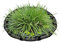 Lunaobrik Schwimmender Ring für Pflanzen, schwimmende Barriere für Fische und Wasserflora, 45 cm, mit feinem Gitter, dekorativ, für Fischteiche und Garten, Dekoration für den Außenbereich und Zuhause