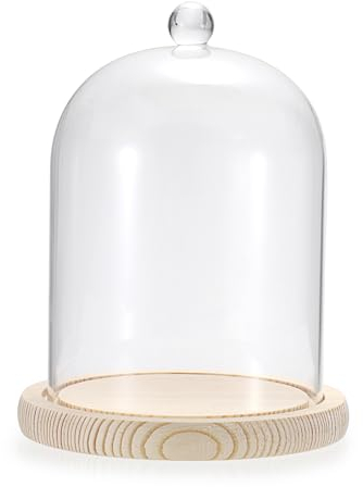 SUMNACON Cloche en verre avec base en bois massif et poignée en forme de globe, décoration transparente pour plantes, collection, jouet, cristal