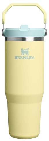 Stanley IceFlow 2.0 Flip Straw Tumbler with Handle 30 oz | Twist On Lid and Flip Up Straw | Leakproof Water Bottle | Insulated Stainless Steel | BPA-Free | Pomelo