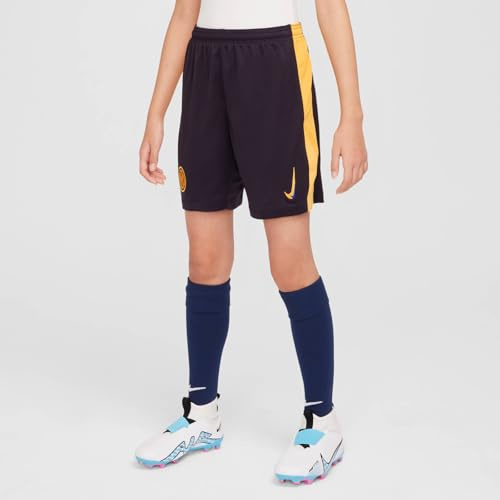 NIKE Shorts da Calcio Replica Dri-Fit Inter 2024/25 Stadium per Ragazzo/A – Terza, Blackened Blue/University Gold/Lyon Blue, FQ2262-498, L