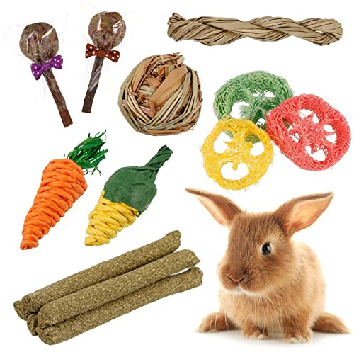 Xinzistar 17 Pcs Jouet pour Lapin, Accessoire Lapin