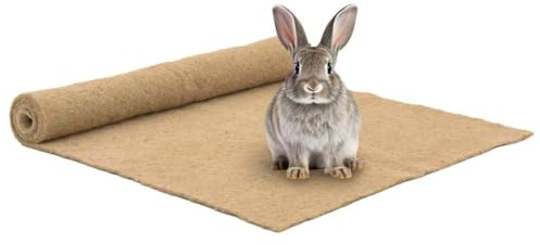 INLIFE Tapis de Chanvre pour rongeurs 1x1 m 5 mm