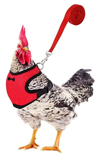 Imbracatura di pollo regolabile con guinzaglio, gilet comodo per gallina imbracatura con sottogola elastico, traspirante gilet per galline animali domestici oca