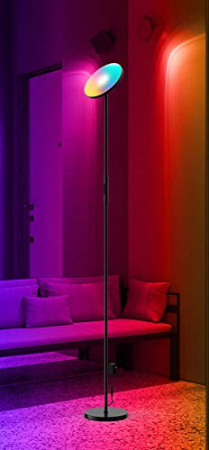 Lampade da Terra, Lampada da Terra Uplight, Lampada da Terra a LED da 24 W con Telecomando con Telecomando App, Lampada da Terra da Lettura con luminosità Continua per Soggiorno