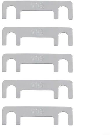 5-pack flatskruvsäkring för motorfordon, 32 V, 30–100 A, silverfärger, för bil och för motorcykel, bilelektronik (60 A)