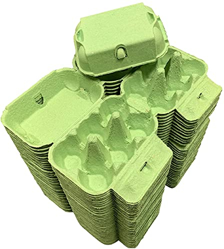 100 Mint Green Egg Boxes - Luxurious Smooth Lid half dozen Coloured Cartons