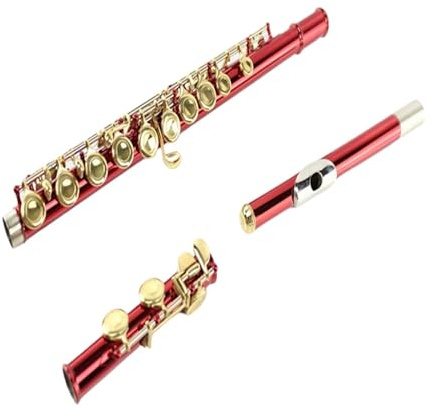 tvärflöjt instrument Flöjt nybörjarinstrument 16-håls professionell flöjt C-nyckel