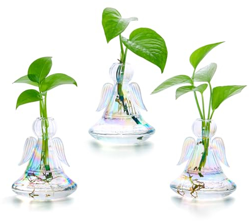 XXXFLOWER Plant Propagation Station Angel Glass Terrarium