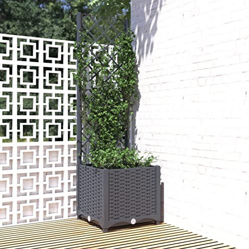Festnight Arriate Enrejado de Plastico Macetero de Jardín Enrejado Jardinera con Enrejado Planta Flores Maceta para Exterior Terraza Balcón PP, Gris Oscuro 40x40x136 cm