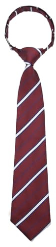 Mantieqingway School Ties for Boys/Kids, Pre-tied Adjustable Neckties Boys Tie for Graduation Uniforms Party Casual(Age 5-12)