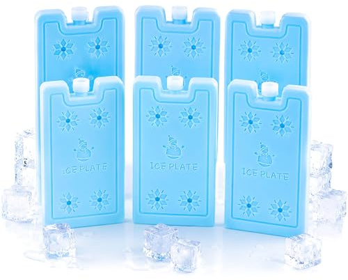 Shyllin Accumulateurs de Froid - Pain de Glace Plats réutilisables pour Sacs isothermes et glacières - Ultra-Fins, Longue durée de Conservation du Froid pour Les déplacements