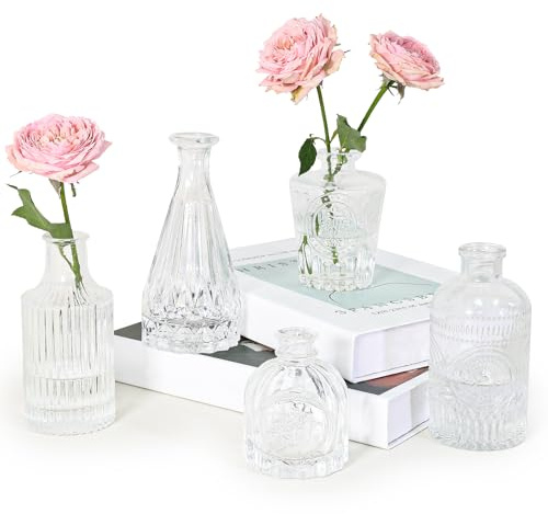 SUPMIND Set med 5 små genomskinliga glasvaser för blomsterarrangemang, minivaser i vintagestil för rustika bröllop, hem, bord