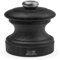 PEUGEOT Salzmühle BISTRO Gewürzmühle Mühle Holz 10 cm graphit 39516