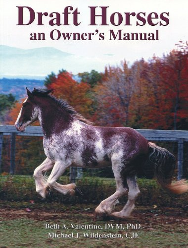 Draft Horses: An Owner's Manual