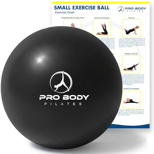 ProBody Pilates Petit Ballon d'exercice, 22,9 cm, Mini Ballon de Yoga Souple pour stabilité, Barre, Fitness, abdominaux, physiothérapie et physiothérapie à la Maison, à la Salle de Sport et au Bureau