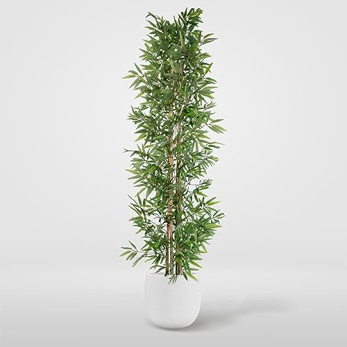Blaine - Pianta artificiale realizzata in materiali naturali, ideale per la decorazione della casa (180 cm, bambù orientale)
