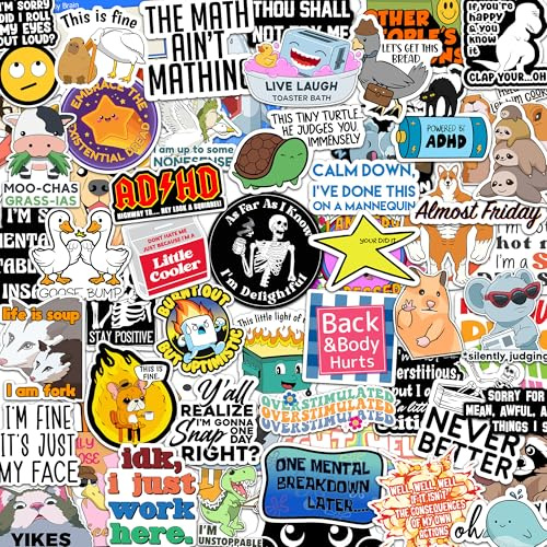 73 Pcs Funny Stickers for Adults Dirty Humor, Water Bottles Waterproof Cool Stickers for Laptop, Bumper, Phone, Hard Hats, Sarcastic, Scrapbooking (73)