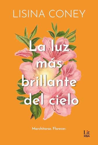 La luz más brillante del cielo (Lit - New Adult)