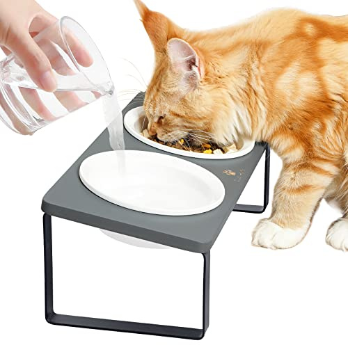 Sunhoo Ceramic Elevated Cat Bowls Raised Puppy Dishes for Food and Water Tilted Wooden Stand for Indoor Cats 5.5 inch Wide Double Dish Orthopedic Reduces Vomiting (Grey)