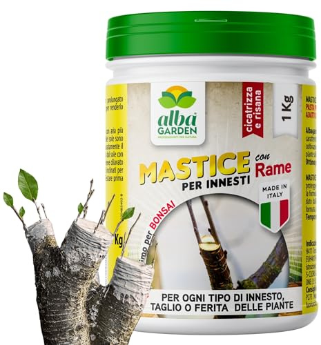 Albagarden - Mastice Per Innesti E Potature ++ Con Rame ++ Antibatterico Pasta Cicatrizzante Curativa Per Ferite Piante Alberi Arbusti Kit Bonsai X 1 Kg