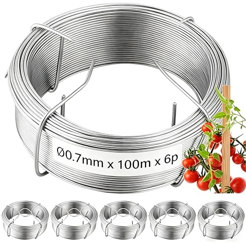 Amagabeli Garden Home 0,7 mm x 100 m x 6 pz filo di ferro zincato filo di acciaio zincato filo metallico filo di tensione per piante WR7 DA0822