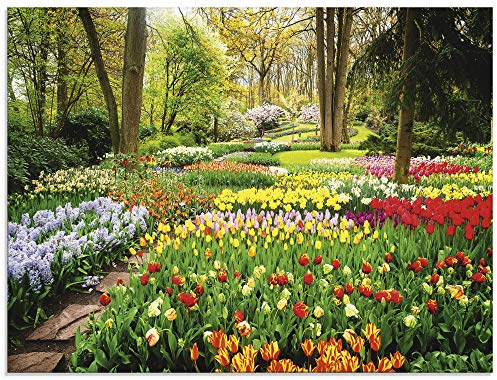 Glasbilder Wandbild Glas Bild einteilig 80x60 cm Querformat Blumenwiese Tulpen Blumen Frühling Natur Garten Wald Bunt U1RC ARTland