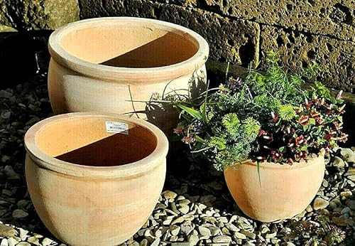 Kunert-Keramik Pflanzkübel,Pflanzgefäß,Blumentopf,helles Terracotta,frostfest!3 Größen wählbar (28cm)