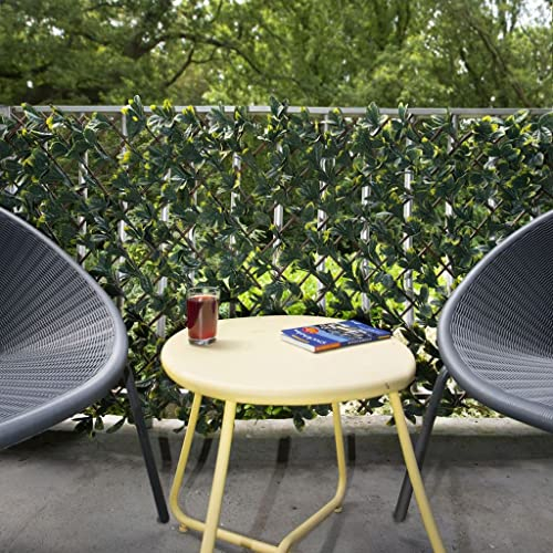 Nature Trellis California Privet 90x180 cm Green and Yellow Leaves