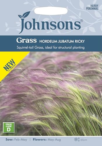 Johnsons Grass Hordeum Ricky, Grass Seeds, Sow: Feb-May, Flowers: May-Aug