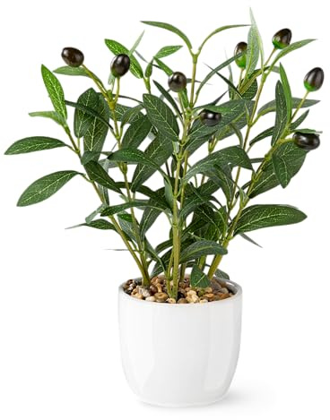 PASCH® Konstgjort olivträd (34 cm) i vit keramikkruka: Konstväxter som riktiga | konstgjorda växter i kruka | Falsk planta: olivträd | konstgjort litet | konstgjorda blommor i kruka