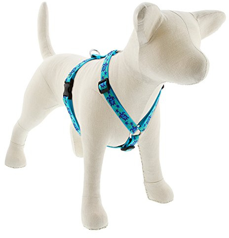 LupinePet Originals 3/4 Turtle Reef 14-24 Adjustable Roman Dog Harness for Medium Dogs